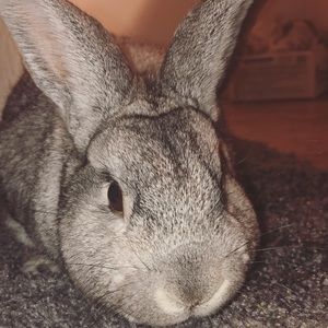 Meet your Posher, Kathryn